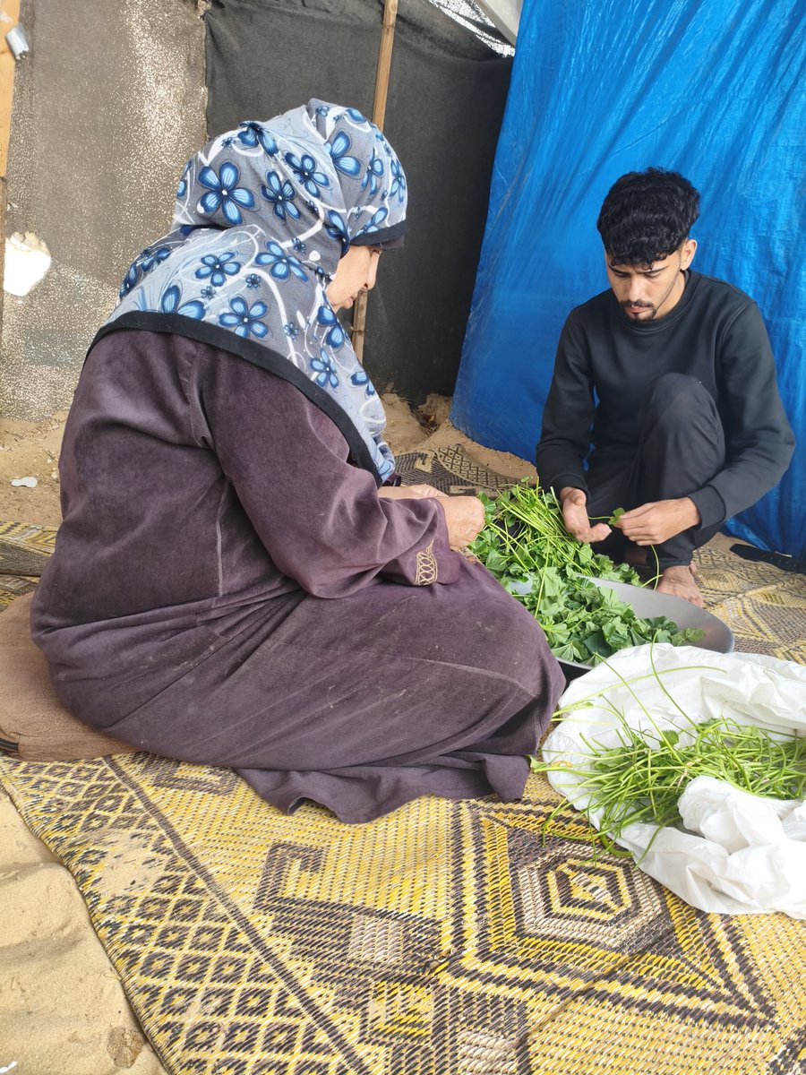 Azez Waj🍉🍉 tweet media