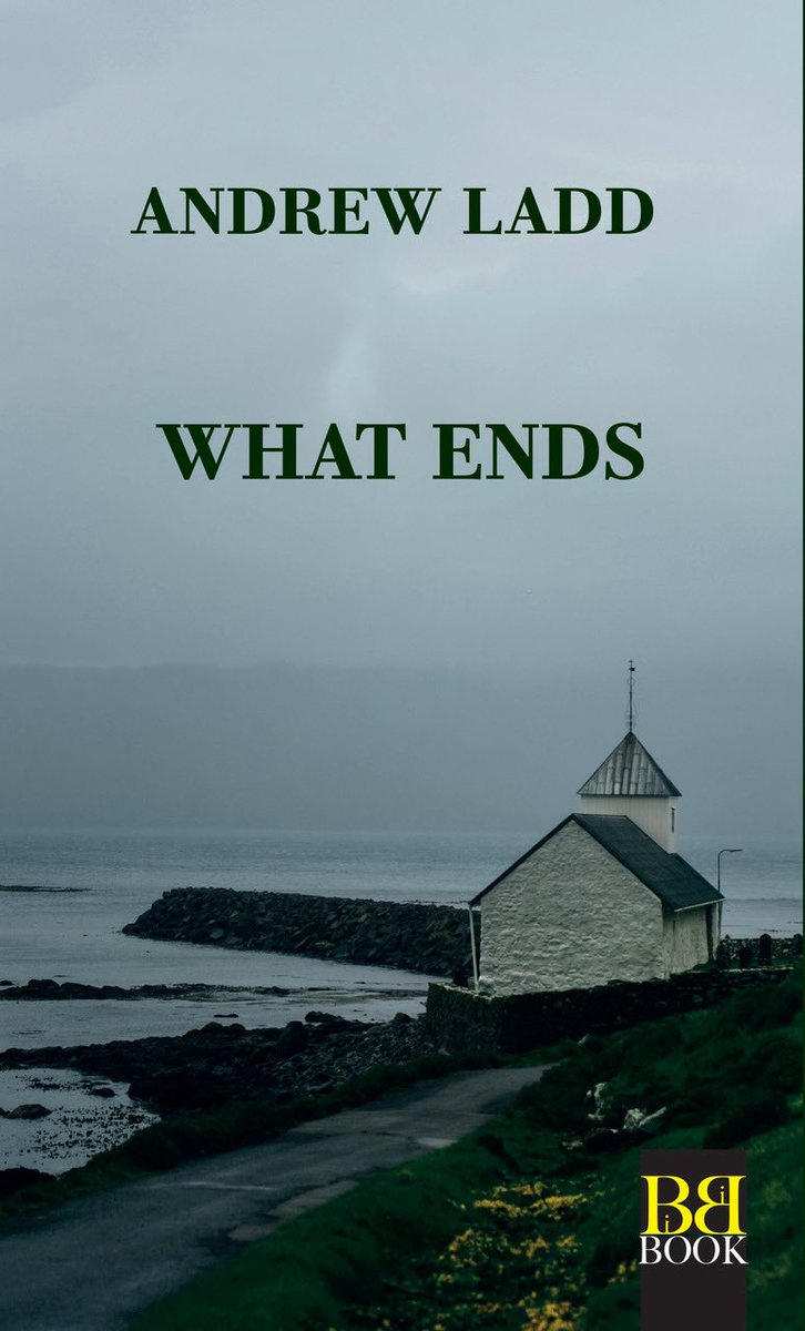 EditoBibi's tweet photo. Il 27 febbraio esce in Italia il capolavoro di Andrew Ladd What Ends. In tutte le librerie e negli store online. Messaggerie Libri EmmePromozione https://t.co/1L46sakNiQ