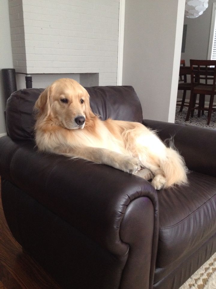 puppyytrick's tweet photo. https://t.co/ZgUMZlaMZg