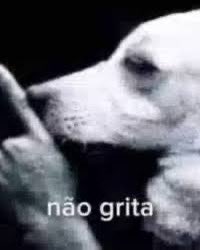 buckysouvenir's tweet image. ta dando muita opinião pra quem ta clicando em traduzir tuíte minha parceira