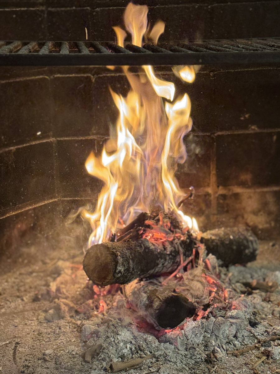andresmadrigalg's tweet photo. "A veces hay que alejarse del fuego para entender que su calor no era para nosotros, sino para quienes venían a refugiarse en él."
 
Llevo días mirando mi “chaquetilla” colgada detrás de la puerta como quien miraba un uniforme de una guerra que ya no comprendía. El blanco del algodón, antes símbolo de estatus terminó pareciéndome una mortaja de expectativas ajenas. Por eso, decidí apagar los fogones por un tiempo, (el resto de los motivos no son míos sino, de los inventores de redes). No fue un adiós, sino un "hasta luego" necesario para no terminar odiando lo que alguna vez me dio la vida. Fue un repliegue estratégico, un silencio administrativo del alma para evitar que el fuego, ese que antes me alimentaba, terminara por calcinar los restos de mi vocación.
Durante años, me convertí en un artesano de la forma, pero en el camino, empecé a perder el fondo. Me sentí agotado de perseguir una perfección que solo existía en mi cabeza y en las fotos de redes sociales. Estaba tan ocupado intentando ser el protagonista que me olvidé de ser anfitrión.
Últimamente, el cansancio no me venía de las dieciséis horas de pie o del calor asfixiante de la partida. El agotamiento real me venía de lo que ocurría fuera de la cocina. Me cansé de lo que yo creía que debía esperar de mi oficio. Me di cuenta de que estaba cocinando para mi propio ego, esperando un reconocimiento que ya viví y sirve para muy poco. Mi cocina se había convertido en una cárcel de cristal, donde el olor a metal de los cuchillos recién afilados y el zumbido constante de las cámaras de frío eran las únicas paredes de mi mundo.
La verdadera revelación me llegó a través de la pantalla del ordenador, leyendo las notas de las reservas que marcaron mis últimos servicios. Hubo una en particular que se me quedó grabada como una quemadura de aceite: "Mesa para dos. Es nuestra primera cena fuera tras el nacimiento de nuestro hijo; necesitamos volver a sentirnos nosotros". Al leerlo, sentí un peso en el estómago. Mientras yo me obsesionaba con si “el aire de pimentón”para el pulpo tenía la densidad correcta, ellos venían buscando algo mucho más urgente: identidad, conexión, un respiro.
Recordé otra reserva: "Aniversario de 40 años. Mi mujer ya no come mucho, pero este fue nuestro lugar favorito". Y otra más: "Cena de despedida; me traslado de país y quiero que este sea mi último recuerdo de España". Fue entonces cuando comprendí que mi técnica era, en el mejor de los casos, secundaria. Esa gente no buscaba una deconstrucción; buscaba un escenario para su vida. Reservaban un refugio, un perdón o un hito que el plato solo debía acompañar, no eclipsar. Entendí que mi cansancio venía de intentar imponer mi "concepto" cuando lo que tocaba era entender su necesidad. Sentía que ya no les daba lo que necesitaban porque estaba demasiado ocupado esperando que ellos validaran mi talento.
Colgué el delantal porque necesité volver a ser quien se sentaba al otro lado. Necesité recordar qué se sentía al entrar en un restaurante, que ya no siento ni en los “estrellados· con la ilusión de quien busca un momento, no un análisis sensorial. Me fui para limpiar el paladar del alma, para vaciar el inventario de mis exigencias y volver a llenar la despensa de ilusiones frescas. Soltar fue, desde aquel día, mi nuevo ingrediente estrella.
Al cerrar la puerta en mi penúltima noche, el cerrojo sonó en la cocina vacía con un eco metálico que noté por primera vez. Las encimeras de acero inoxidable, ya frías y limpias de la grasa del servicio, brillaban bajo la luz fluorescente con una honestidad casi hiriente. No sentí el peso de la derrota, sino la ligereza de quien se quita una armadura.
Me fui con las manos vacías pero el espíritu ligero, sabiendo que el éxito no era la mesa llena, sino la mente tranquila. 
Me fui para aprender, tras años de técnica y acero, el arte más difícil de todos: el de saber volver a ser, sencillamente, cocinero.
