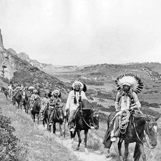 Native American History tweet media