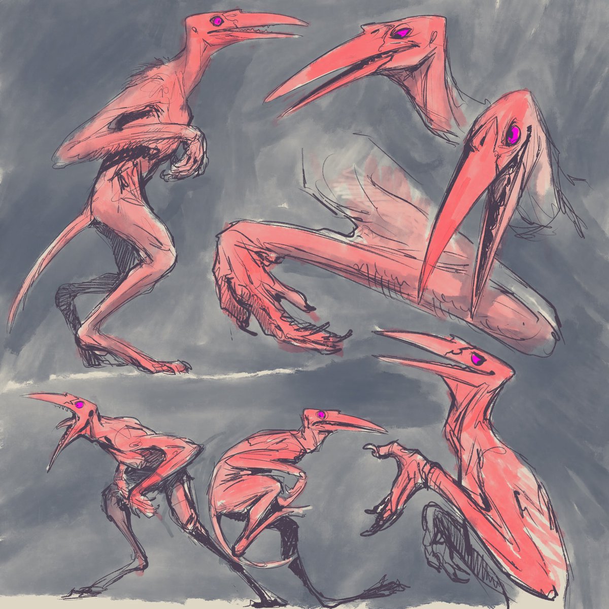 Mortimer M (Morty) tweet media