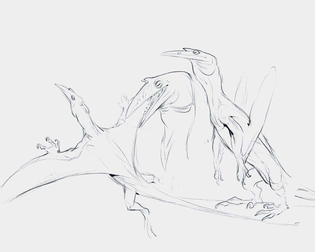 Mortimer M (Morty) tweet media