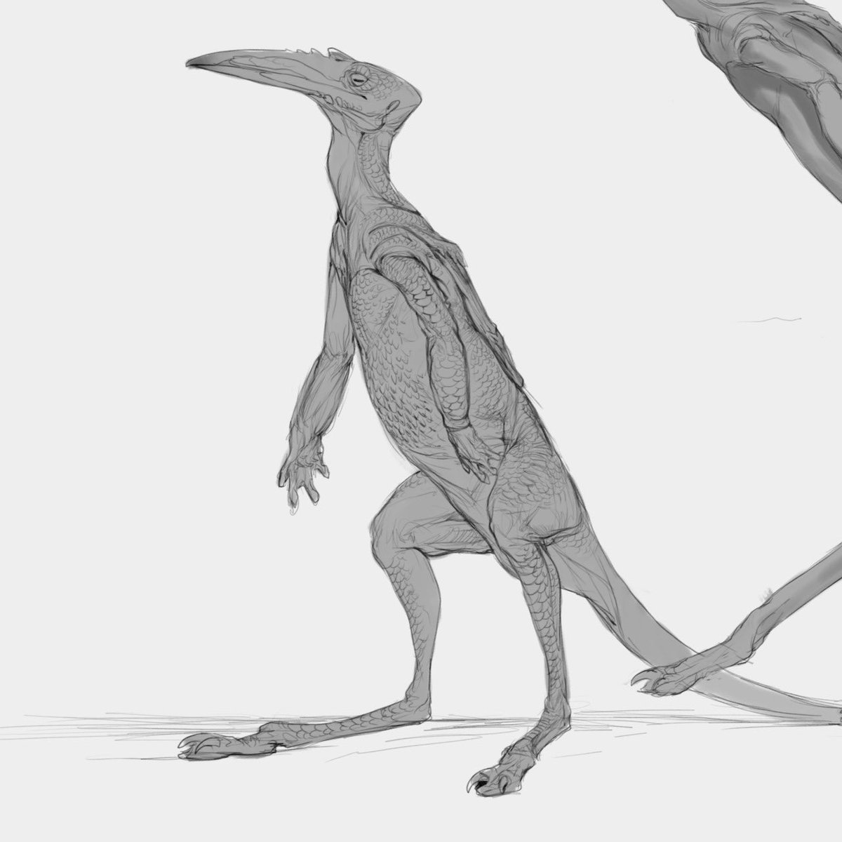 Mortimer M (Morty) tweet media