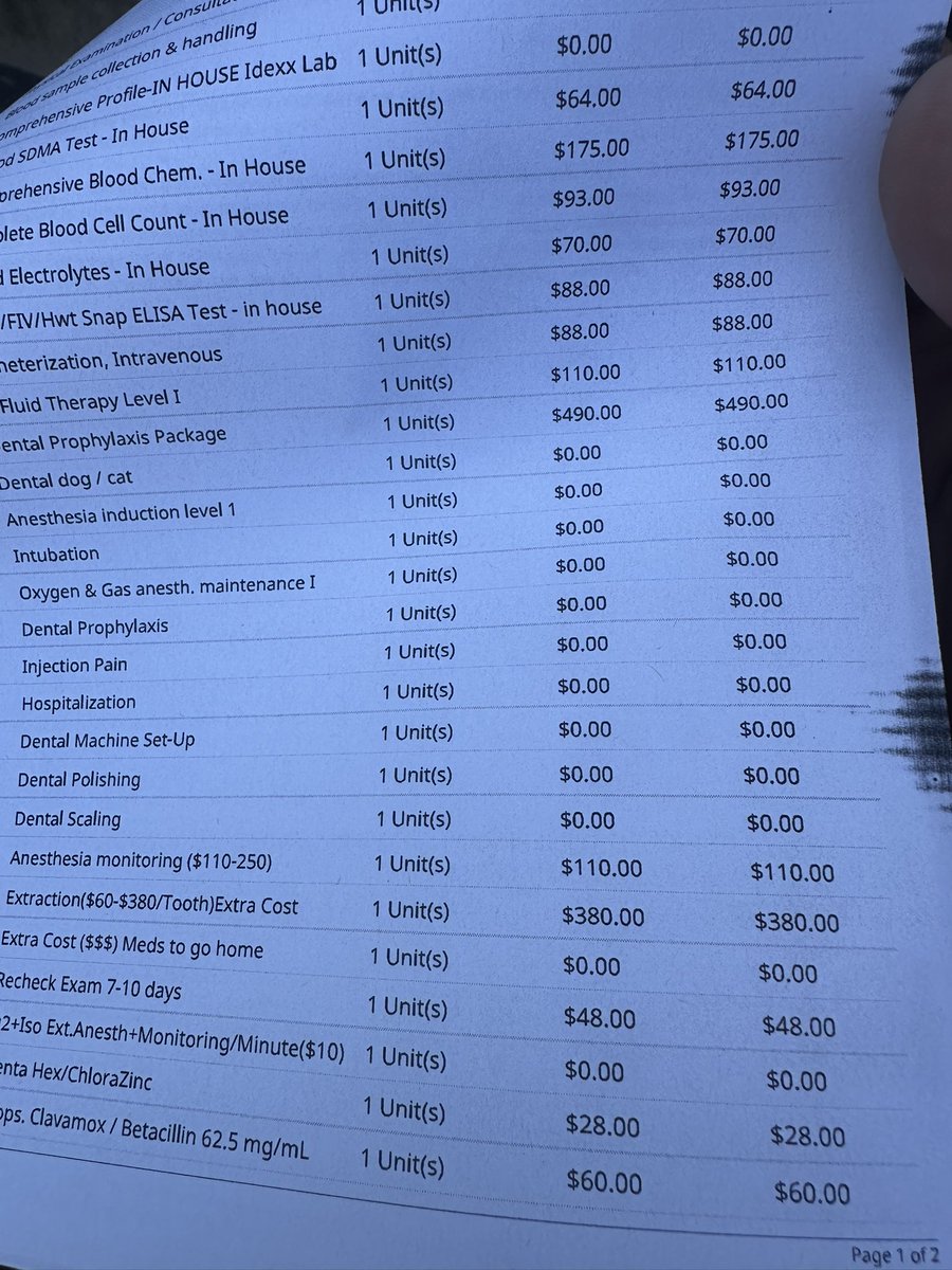 The ⬡ Blind ⬡ Waiter (NonTechnical Enthusiast Arc) tweet media