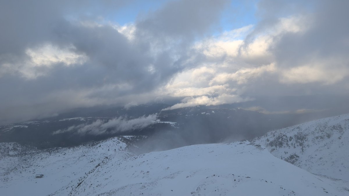 Kole Kole tweet media