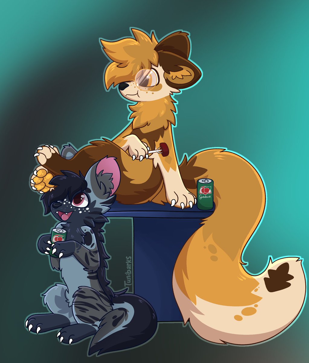 Tunibarks ⚡ tweet media