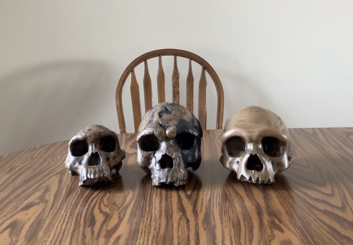 Zeke_Darwin's tweet photo. It’s tiny. https://t.co/yWRfEsKr3q