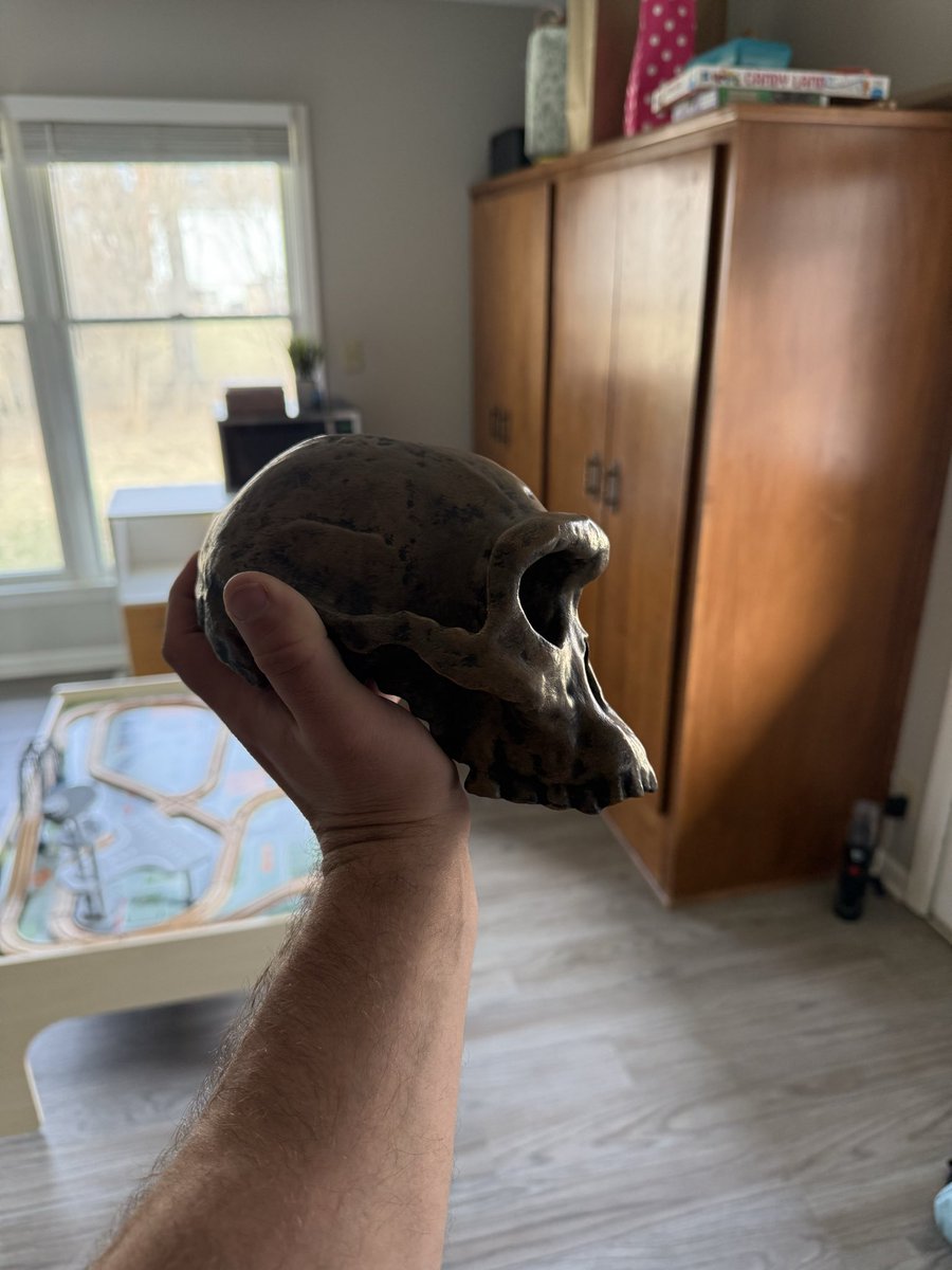 Zeke_Darwin's tweet photo. It’s tiny. https://t.co/yWRfEsKr3q