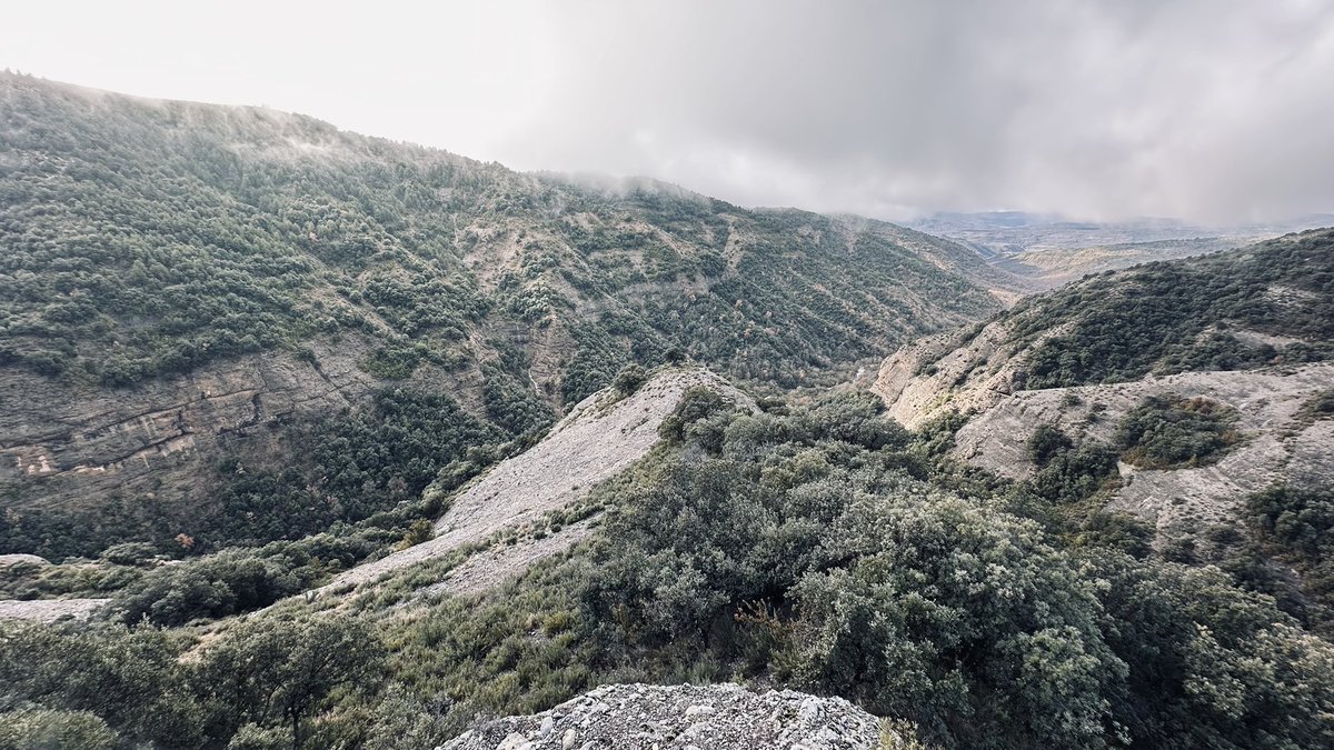 Resaque en Aragón en Arén (Huesca) con la colla de Arén. Caza social y excelencia cinegética. Caza salvaje, pura, natural, compañerismo, perros excelentes en un cazadero impresionante. #caza