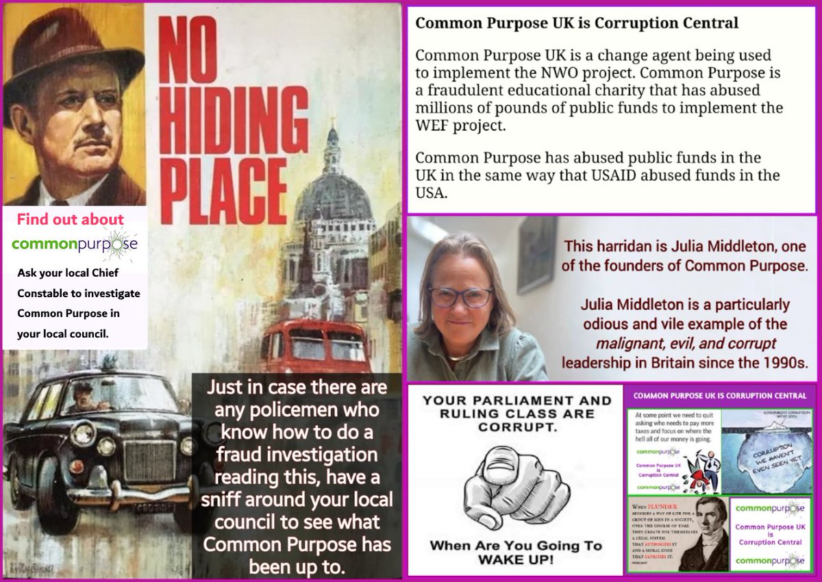 Stop Common Purpose 🇫🇴 tweet media