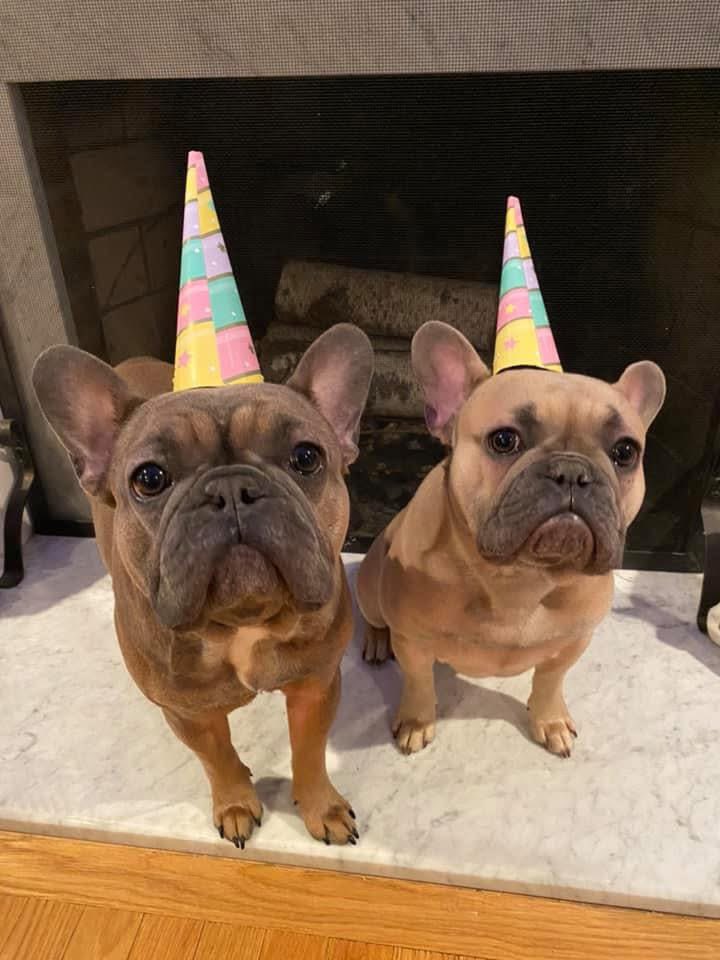 ❤ LORI ❤ tweet media