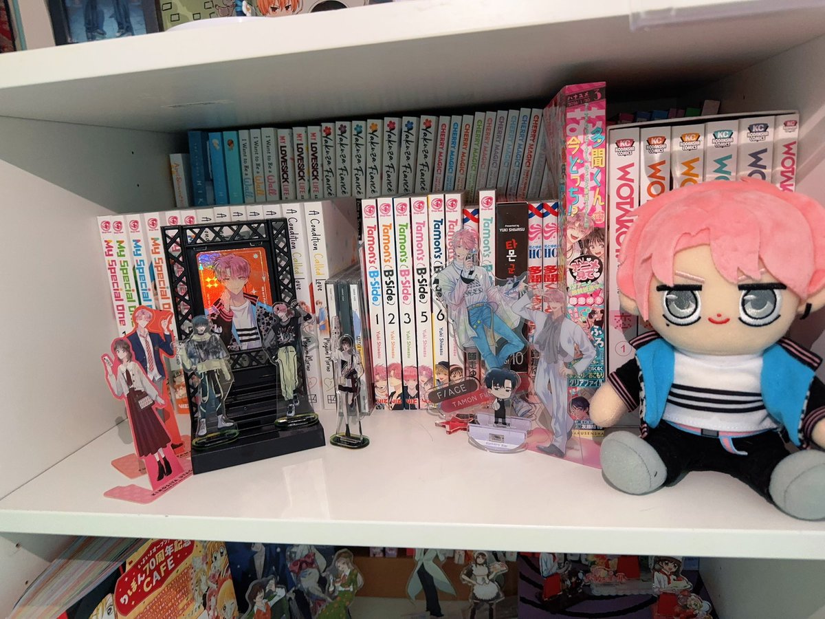 Found this oshikatsu stage at Seria / Daiso, the results came out so cute for my Tamon display!! #TamonBSide #face