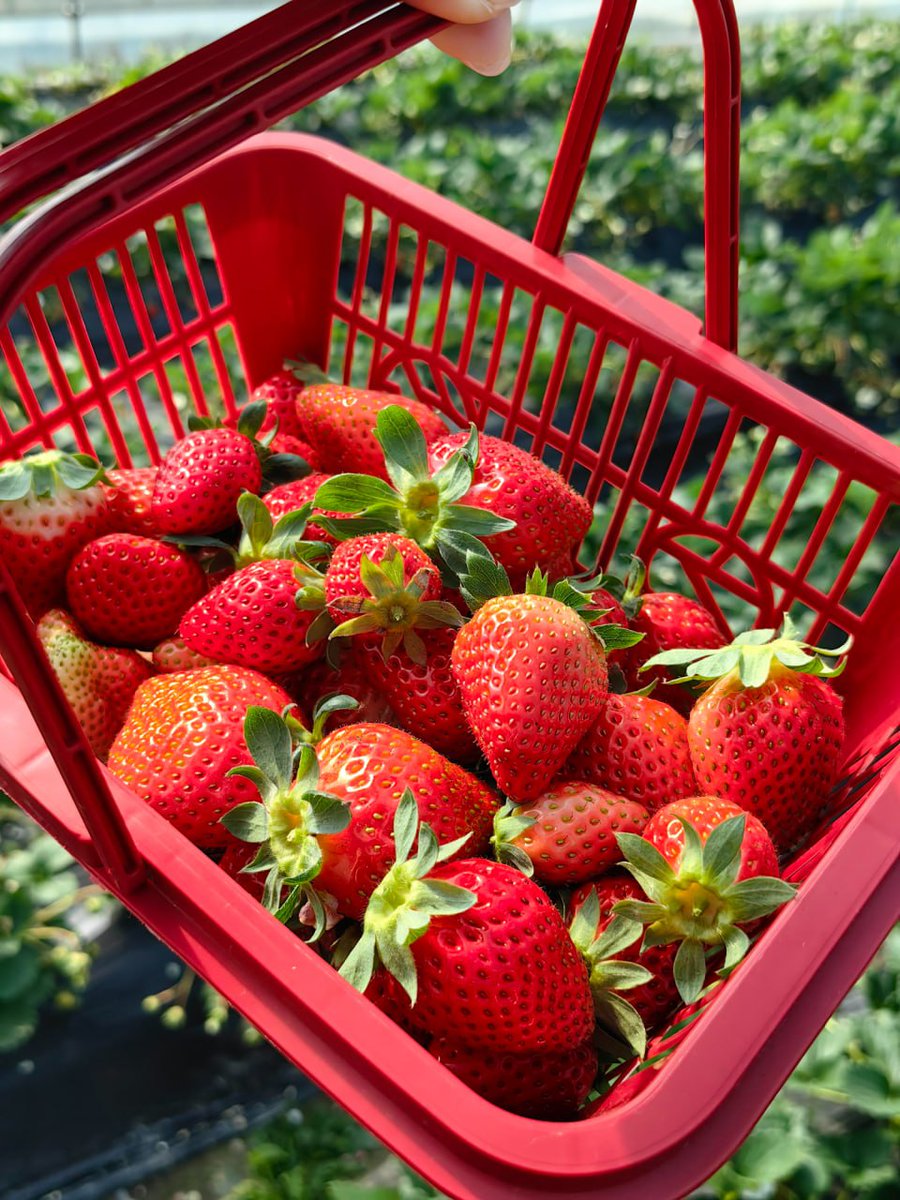 Messy bun, getting stuff done, and enjoying the sun. I’m perfectly imperfect and that’s my favorite part about myself. Let’s be friends! 🥨✨