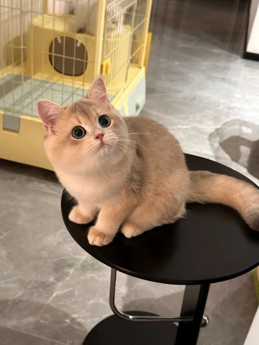 Just a girl who loves life and probably needs another nap. I’m 100% human and 100% trying my best. Finding the humour in the chaos and the fun in the mess. 😂✨