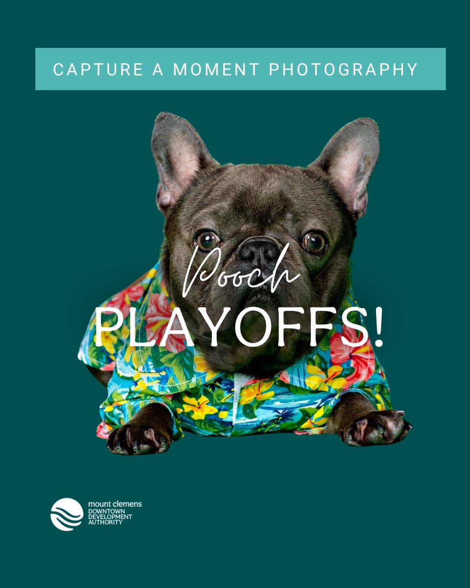 Downtown Mt. Clemens tweet media