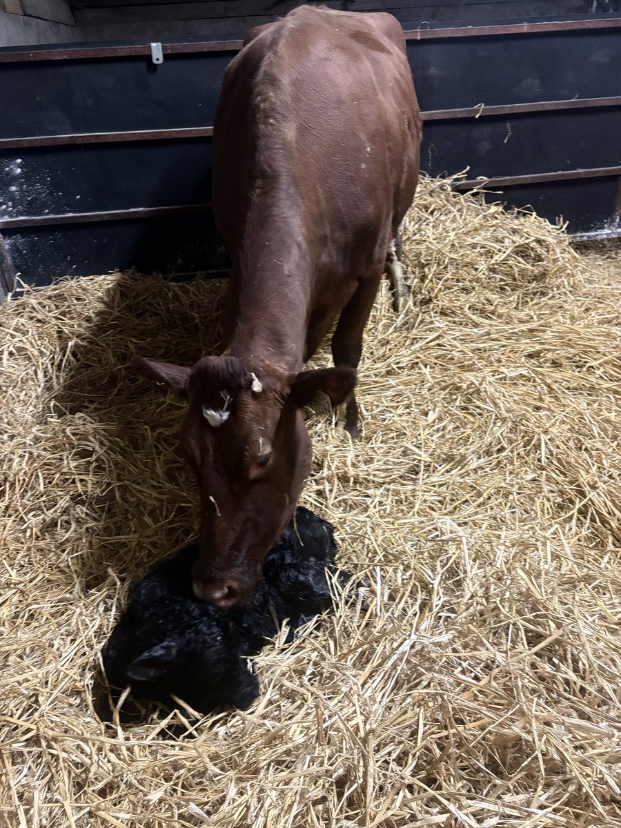 Conor O Brien tweet media