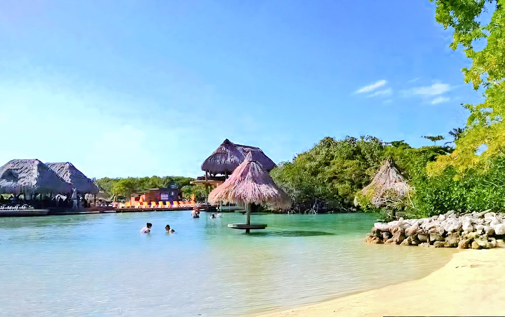 julie 💭 tweet media