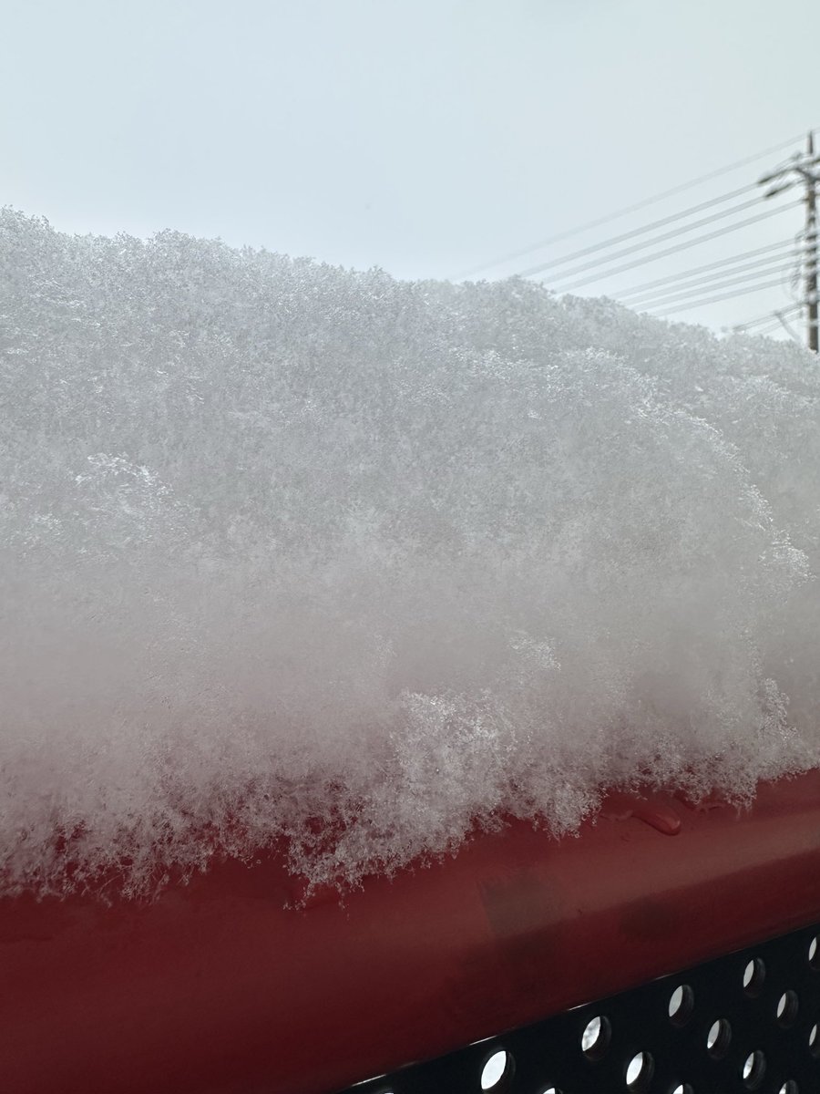 とても積もったね☃️

今日、直太朗さんの
ライブなんですけど...🫨🫨🫨
