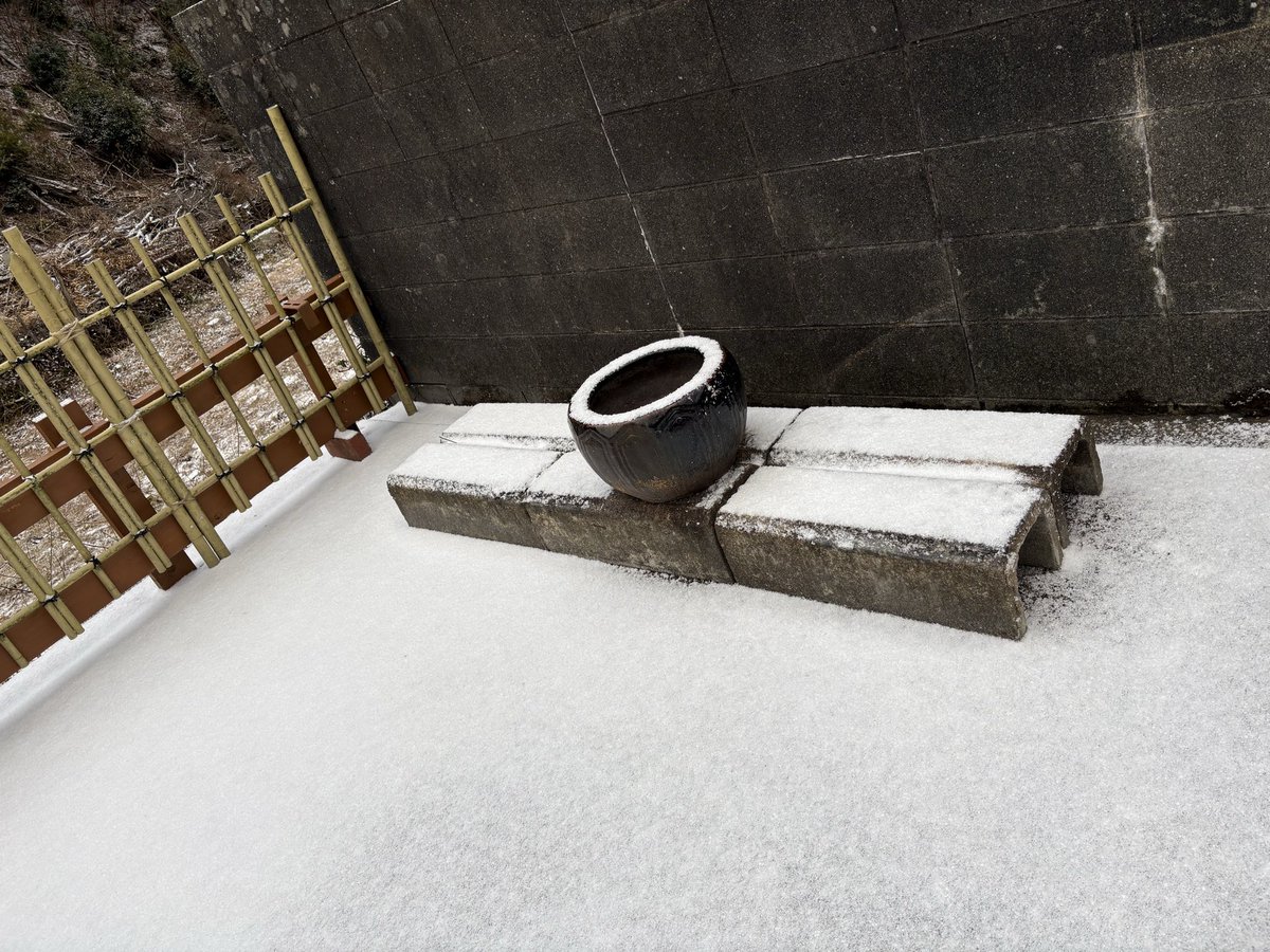 ウチのとこでこんな感じだ😭九州なのに
帰りが心配←下手すると途中から約2km徒歩レベル