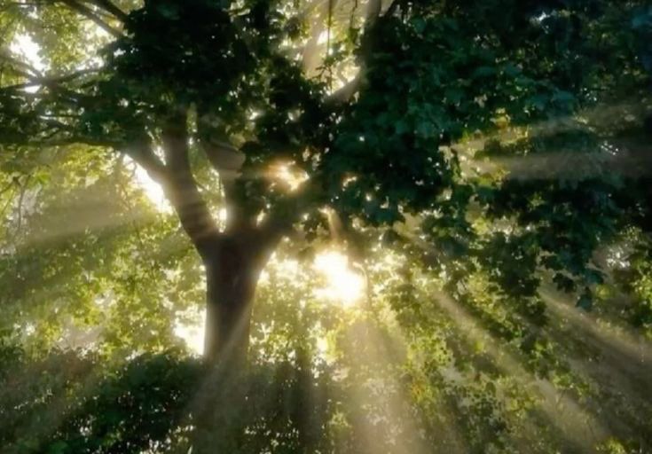 greenvibe's tweet photo. https://t.co/R8gJC0hOlm