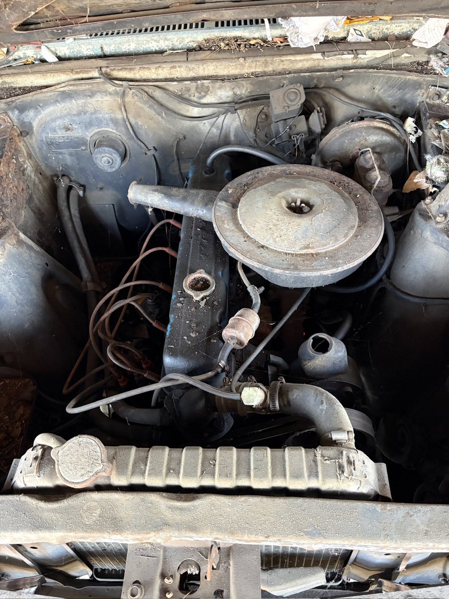 I'm your Puppet tweet media