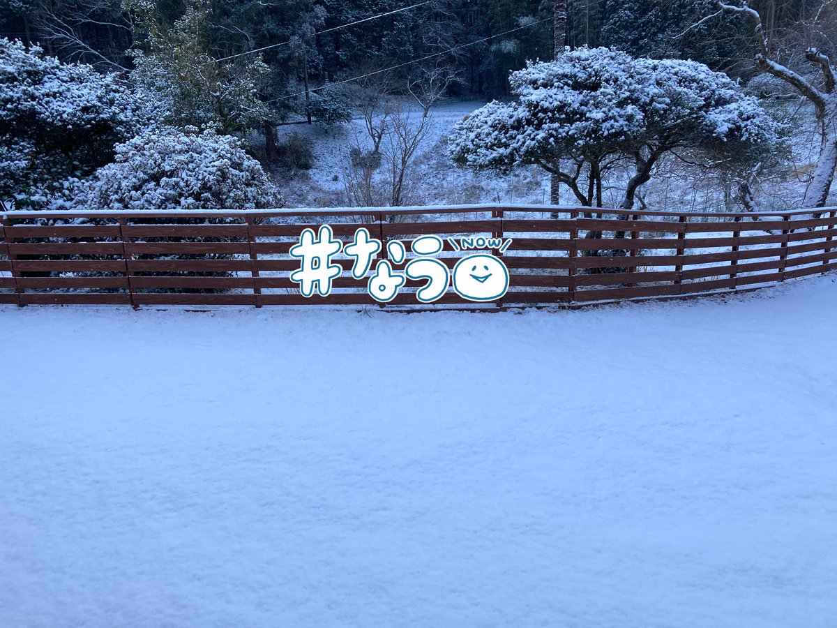 ちょこ tweet media