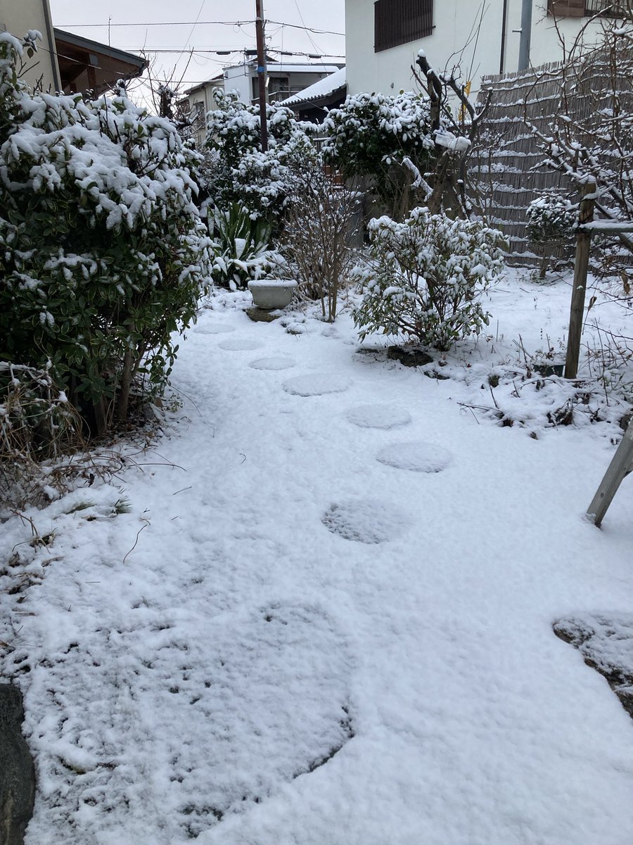 明日通院付き添いなので先週末到着🚙
ノーマル🛞だから､､､セーフ😅
雪深い地域の方々、🙇