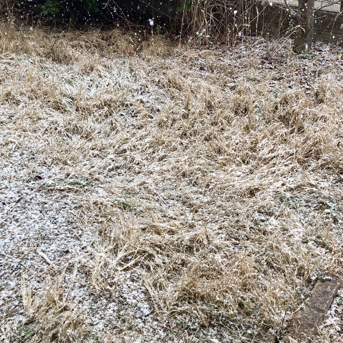 俺別に京都は今ぐらいの時期にこんぐらい雪降ることぐらい予想できてたし