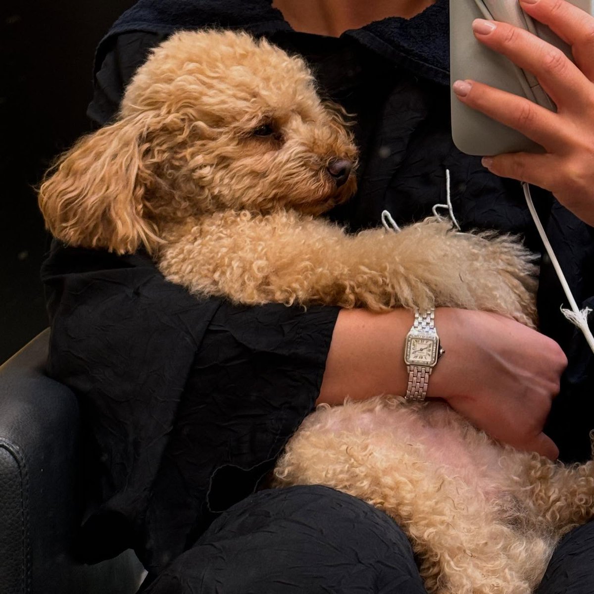 I brought my Loki to the vet for a checkup today. Looking into its eyes as it gazed at me, my heart ached. But the vet told me Loki is perfectly healthy. I'm so happy!