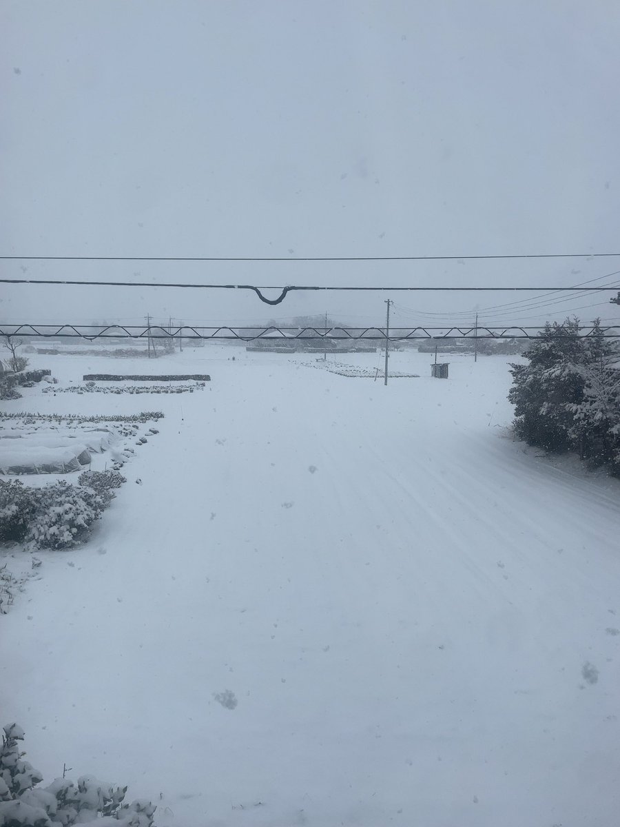 家族みんなが無事に穏やかに一年を過ごせるようなオルゴブレスレット 白銀の世界やああああ！！！！