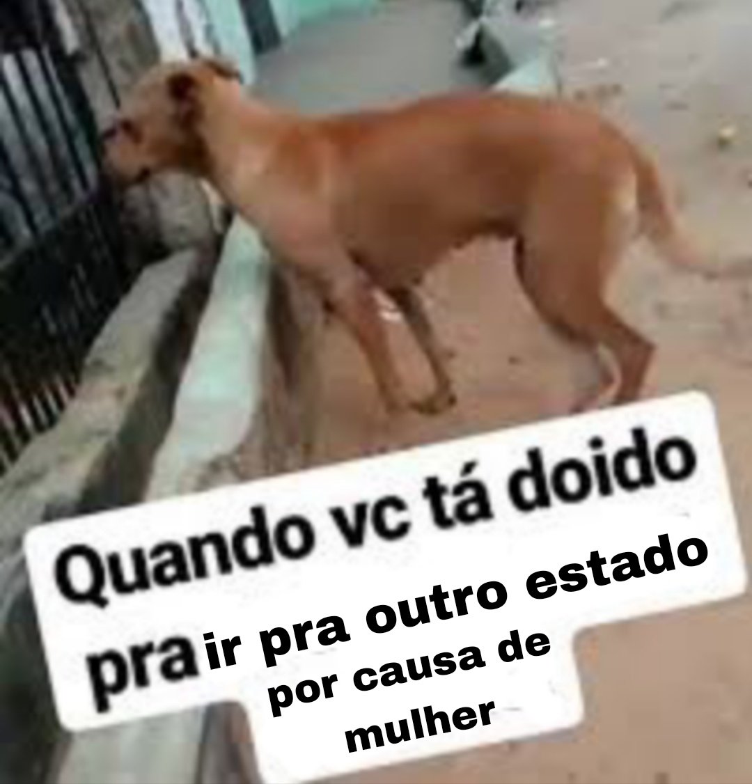 vitrola (@falecidovitrola) on Twitter photo 