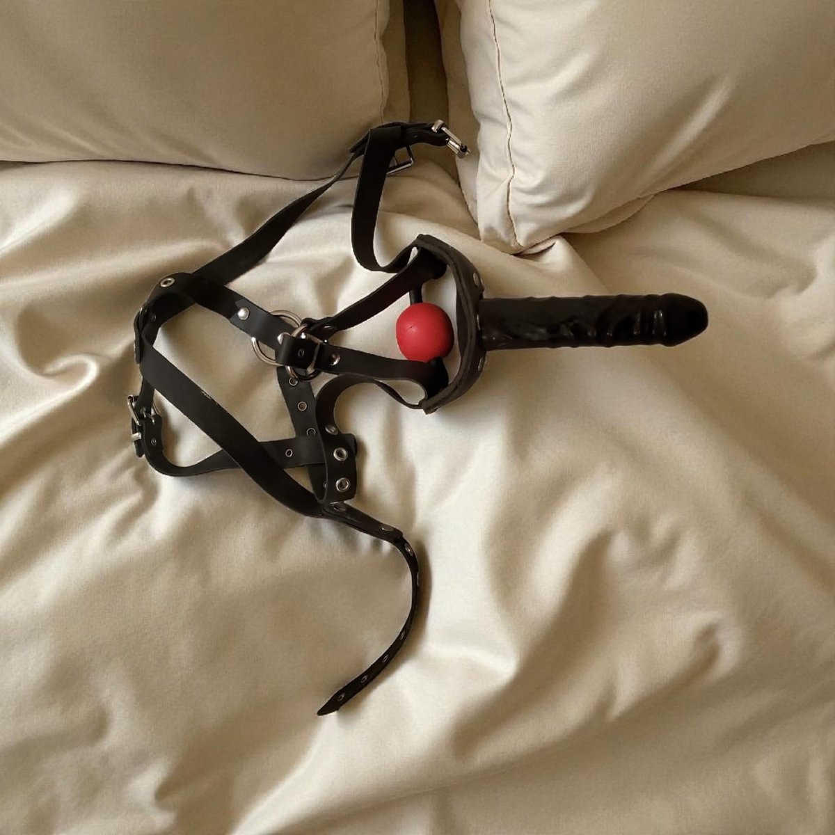 Hottestkat1's tweet photo. My favourite toy. I love riding this as youre gagged https://t.co/U2T4HWo8vW