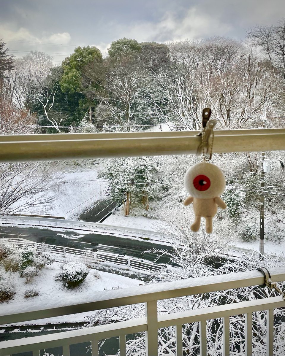 お約束どおり積もったね⛄️
