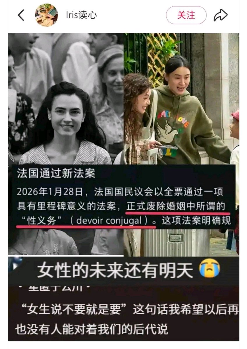 繁律 tweet media