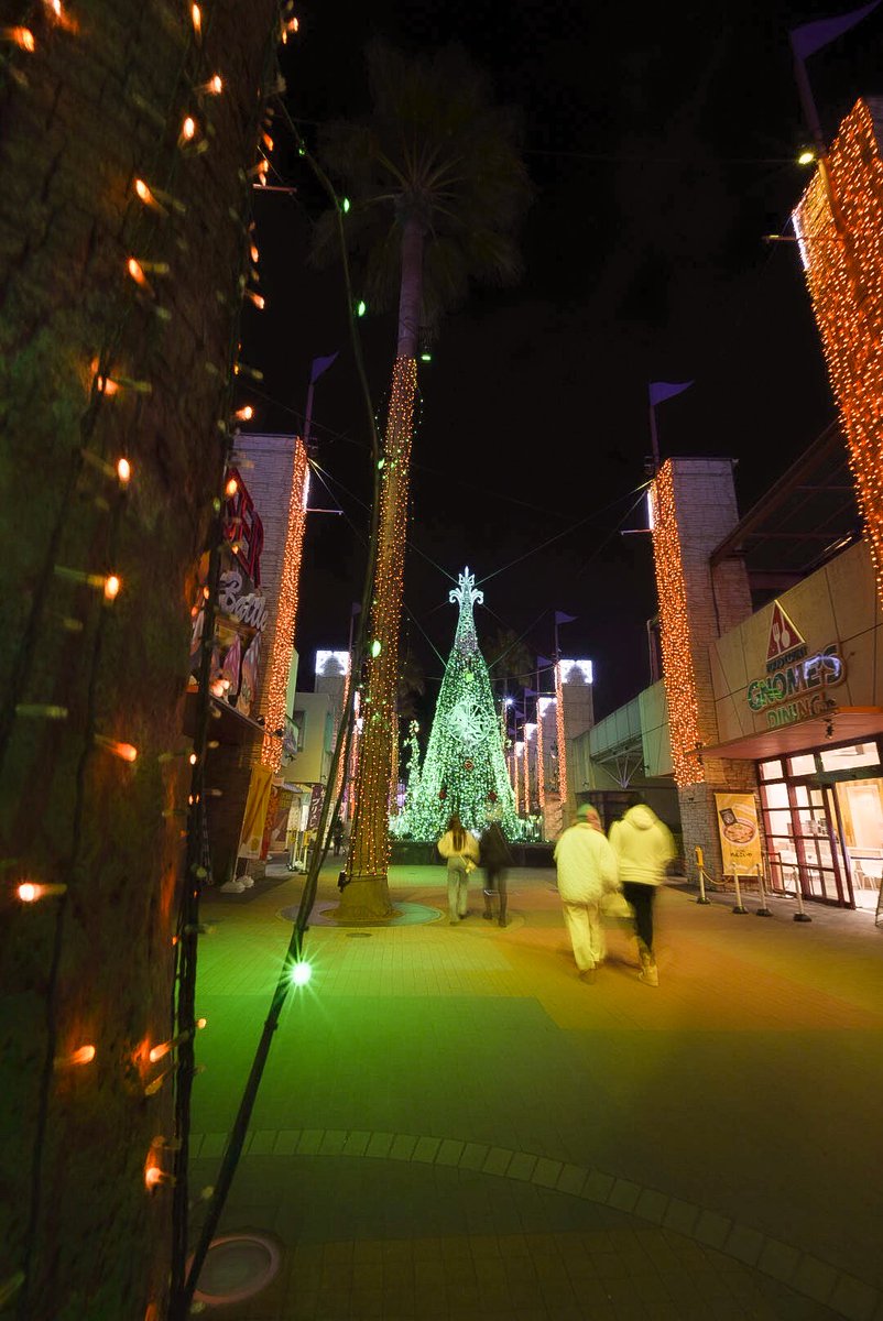 ♬︎ イルミネーション •*¨*•.¸¸♪ #ひらパー #ViltroxAF14mmF4AIR