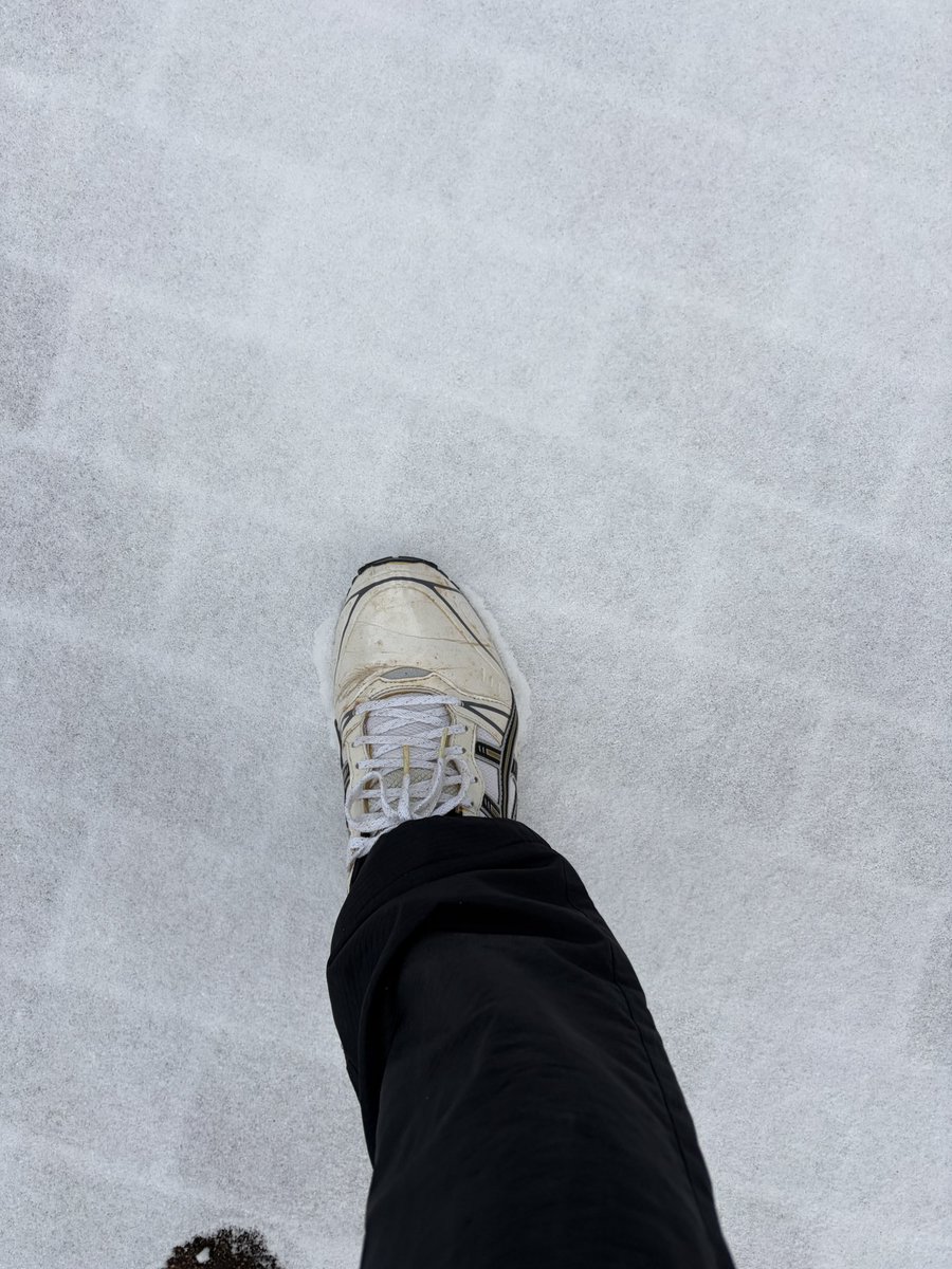 jyo1545's tweet photo. 久々に雪見たな。交通が乱れなければいいけど。マラソン大会は当然中止だけど、こんな日でもスノーターサーで朝ランだ！

なーんてね、選挙に行っただけ。 https://t.co/dZ3vlyLsoS