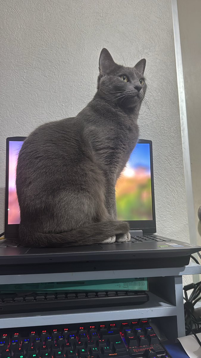 Jorge Cruz tweet media