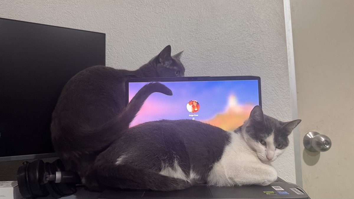 Jorge Cruz tweet media