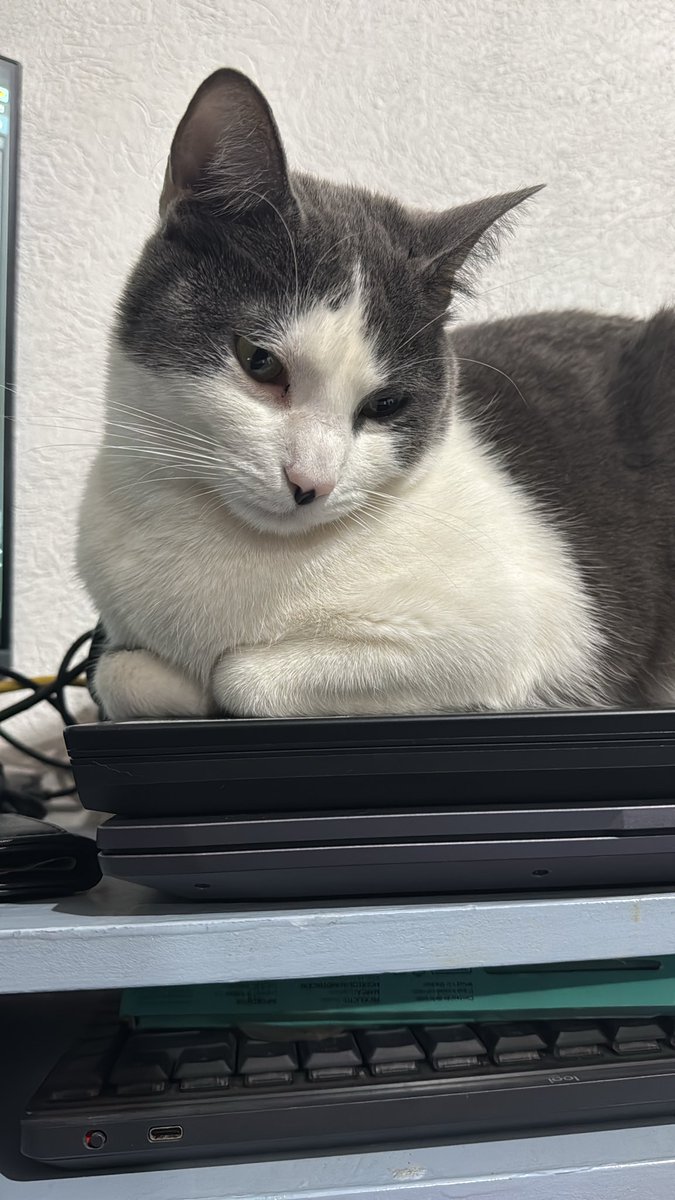 Jorge Cruz tweet media