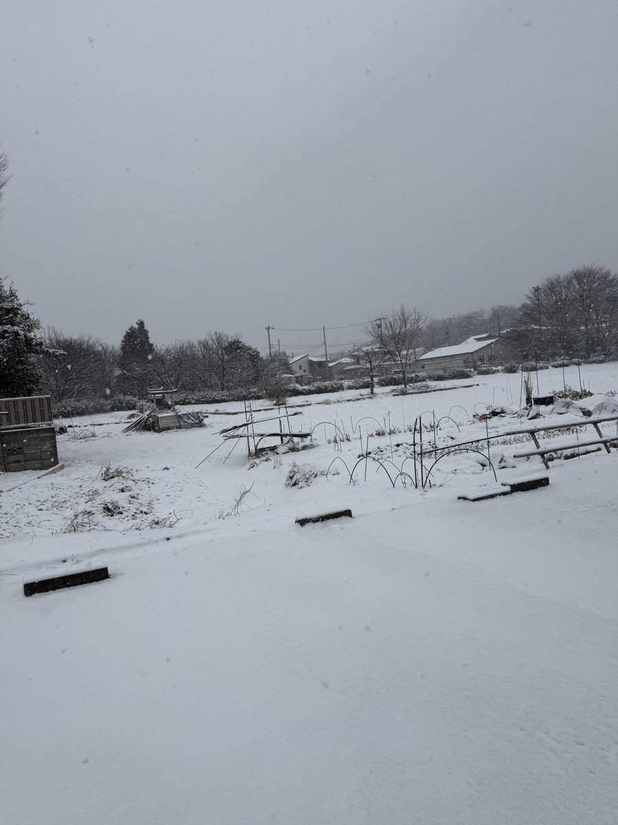 ⛰HAL🦭💨Yama boys tweet media