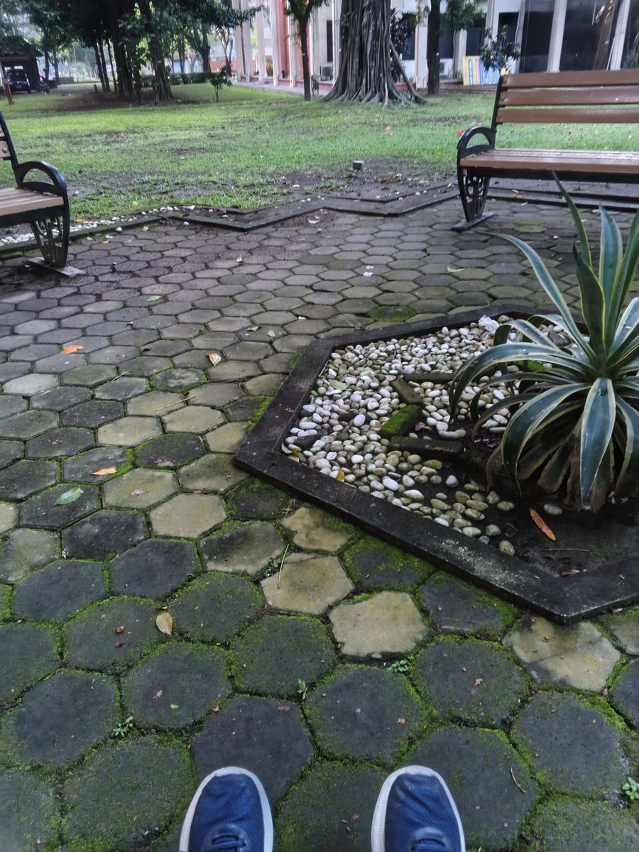 Geminiiiii tweet media