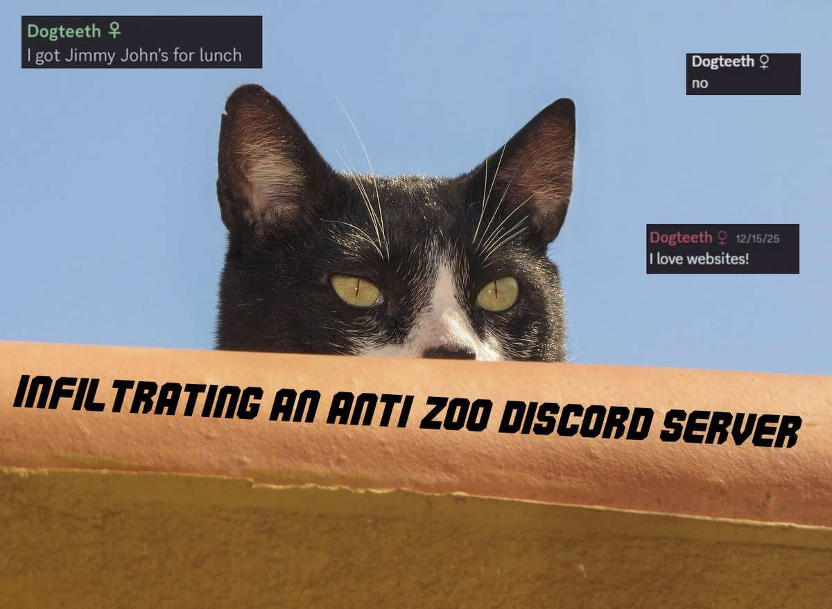 Tarro ζ tweet media