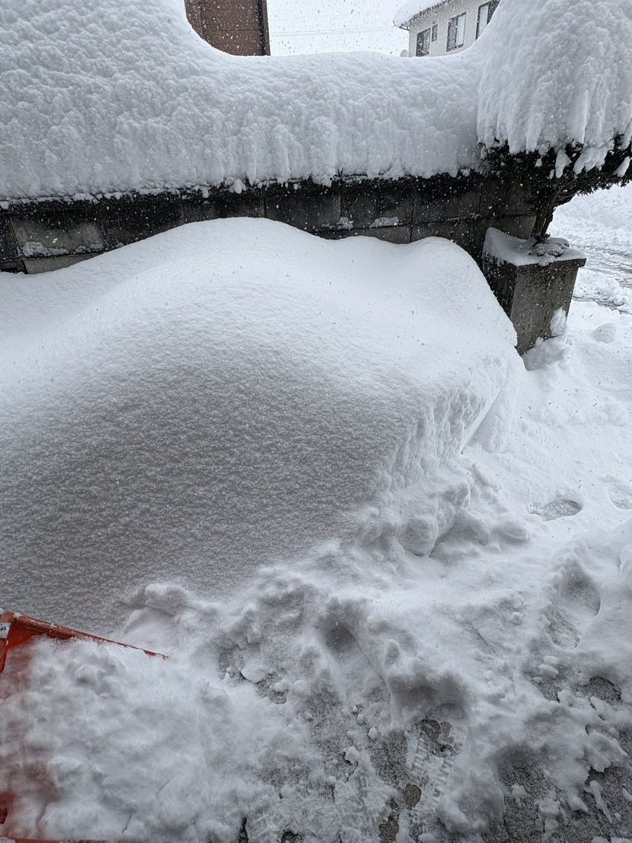 たかたか tweet media