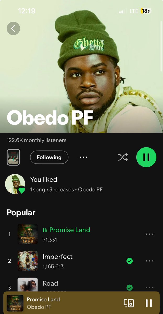 Promise Land Is such an amazing Song everyone should be proud to hear