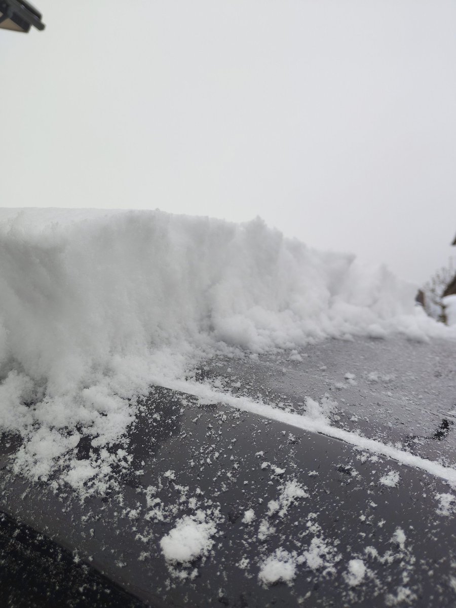 gansuko1's tweet image. おはようございます⛄
ﾎﾟｩﾀﾞｰｽﾉｰです