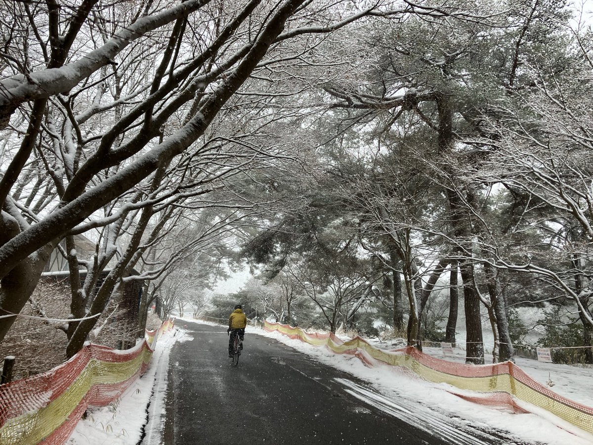 chiho24's tweet photo. 今日も雪ですわ。 https://t.co/VKPoa3JvjU