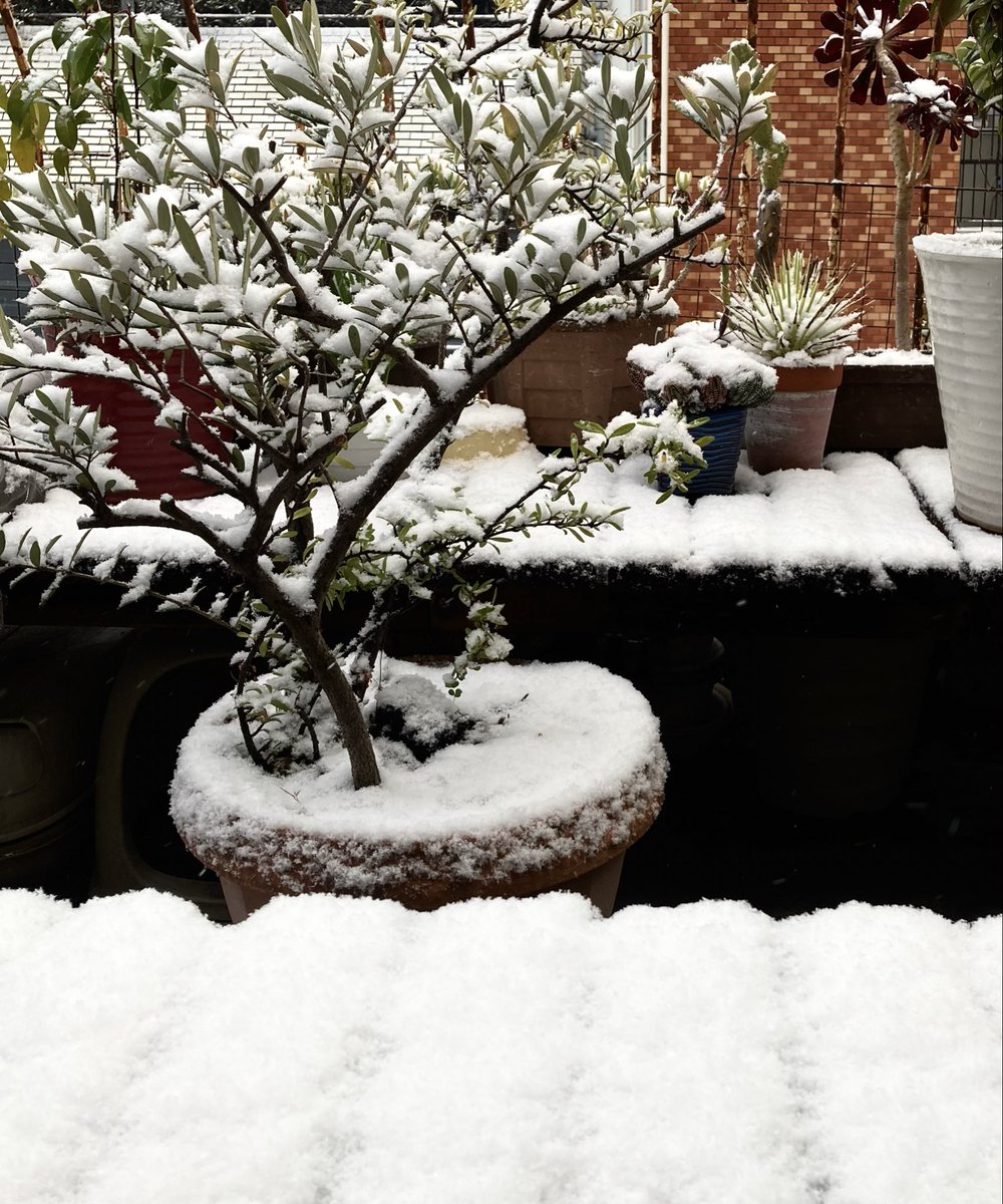 足元に気をつけて。