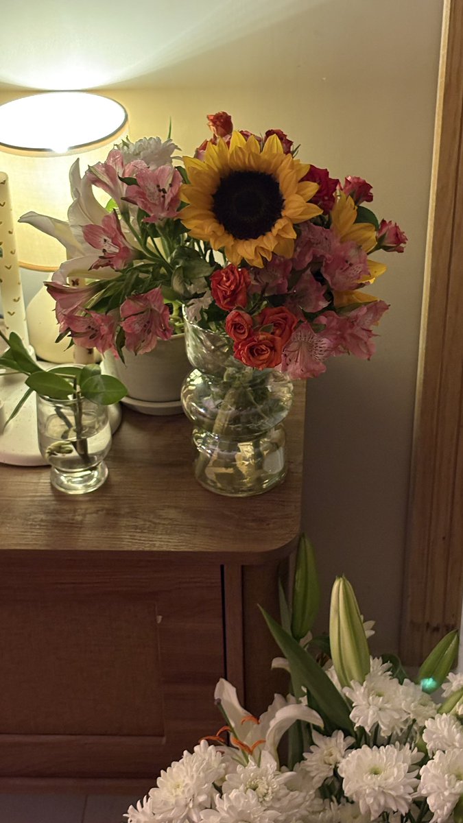 حصة (@heplantslover) on Twitter photo 